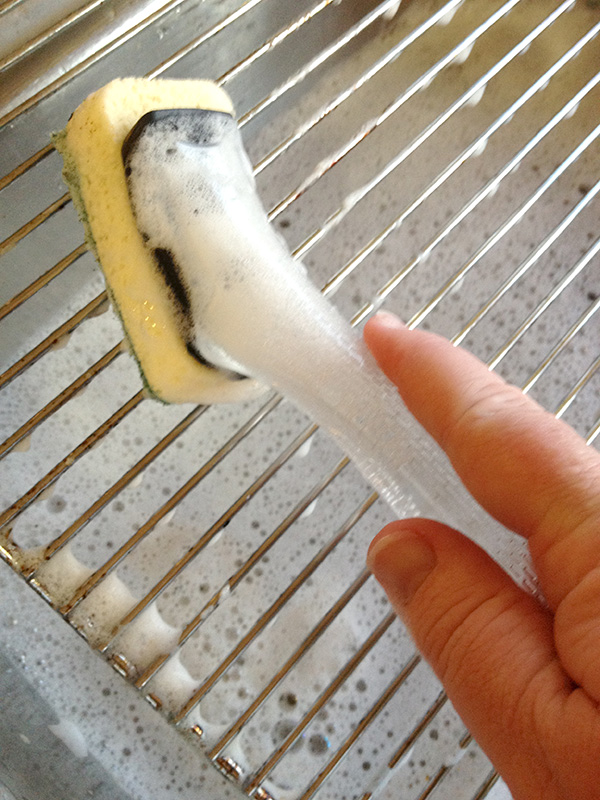 {The Organised Housewife} Cleaning oven 2